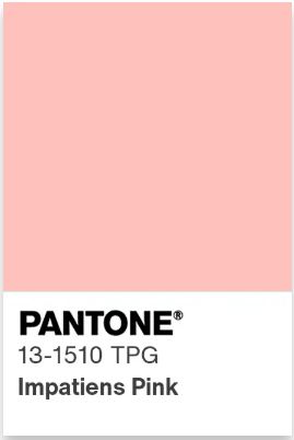 Pantone-13-1510-Impatiens-Pink.jpg