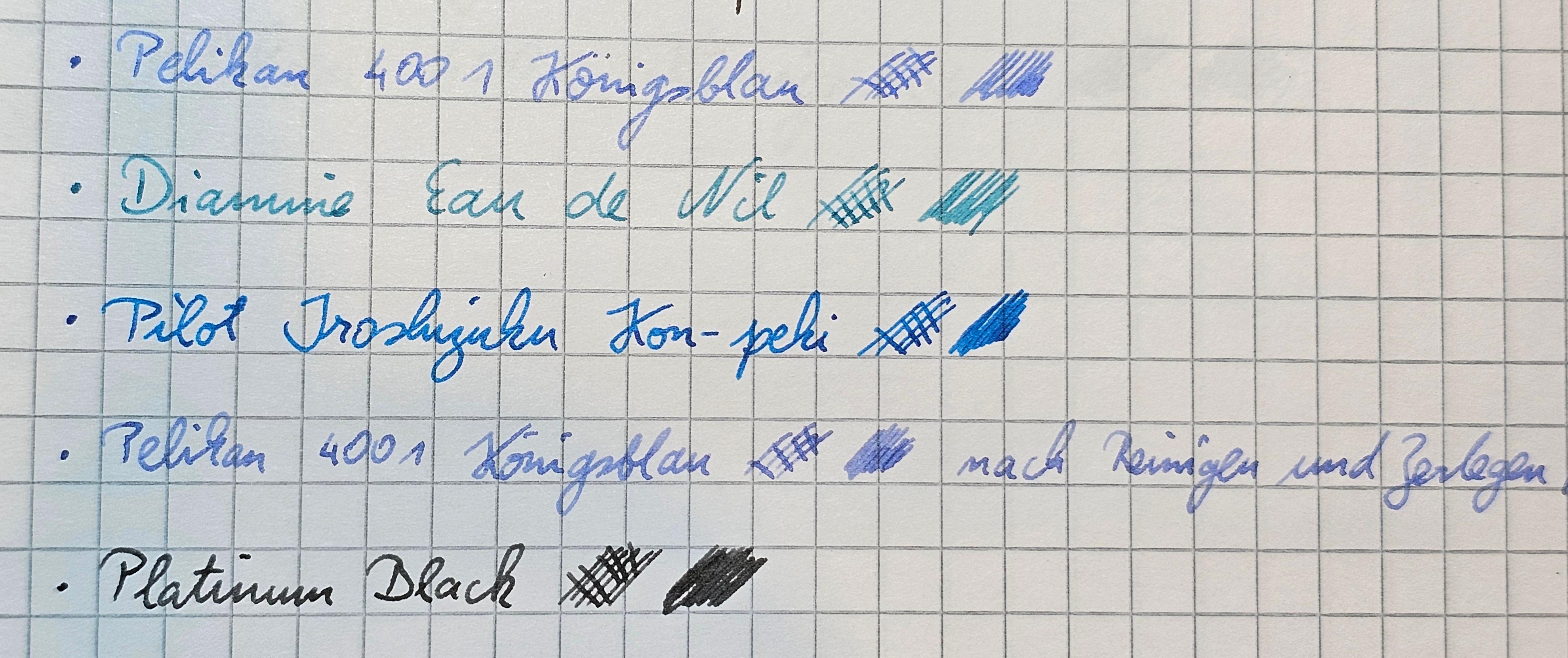 Procyon.jpg