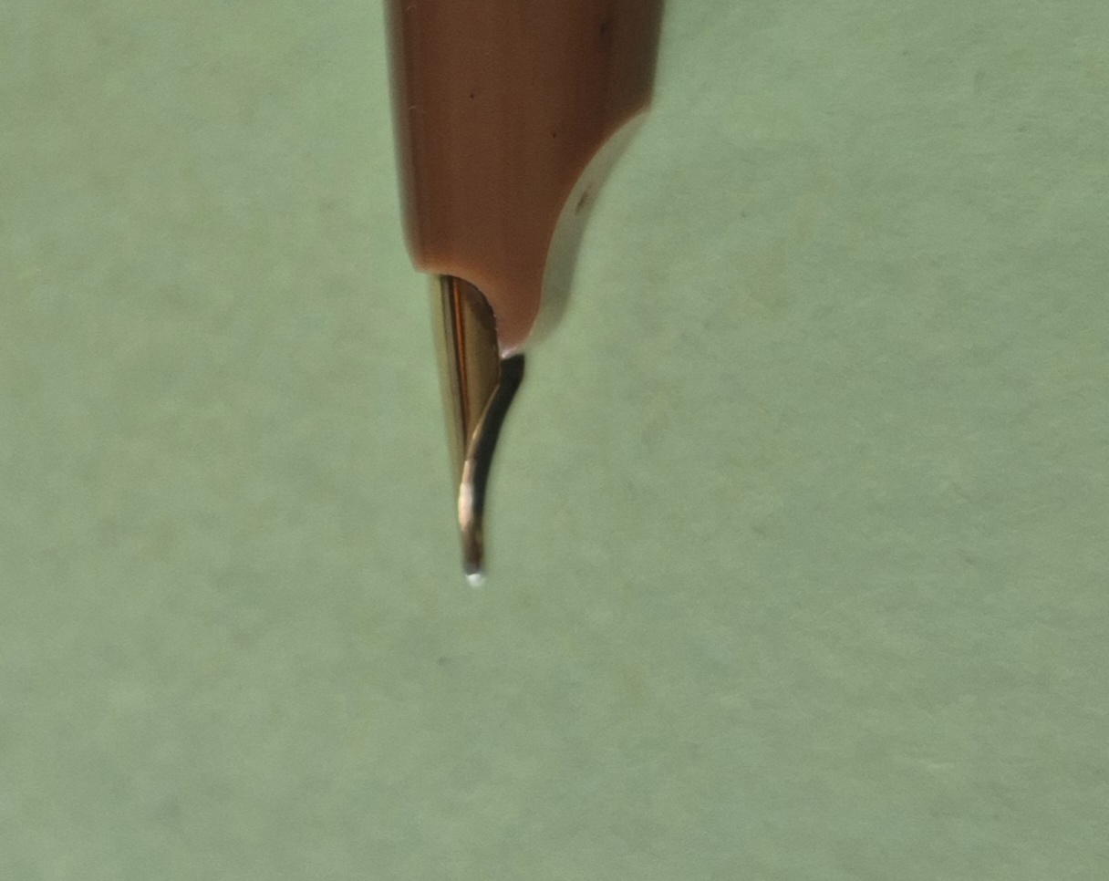 1000041900.jpg