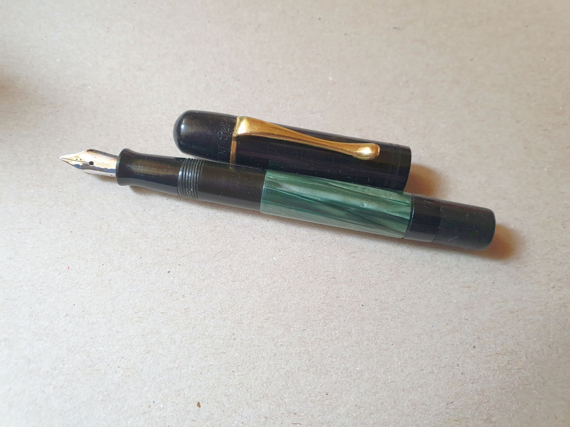 Pelikan 100 02.jpg