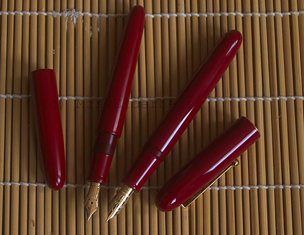 Namiki Nakaya.jpg