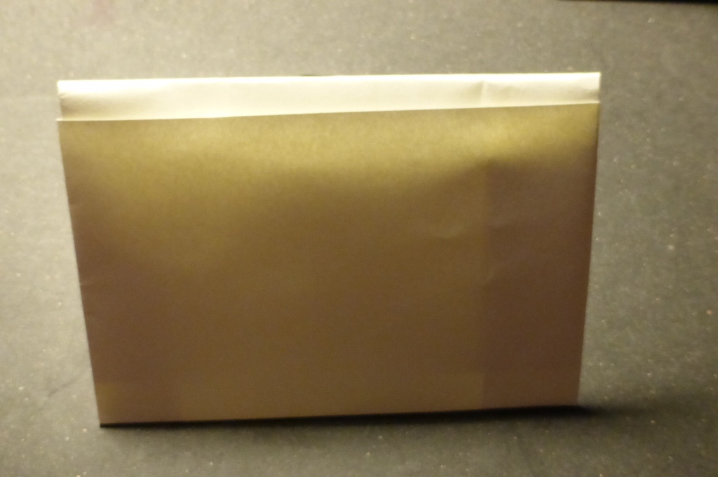 P1000467a.jpg