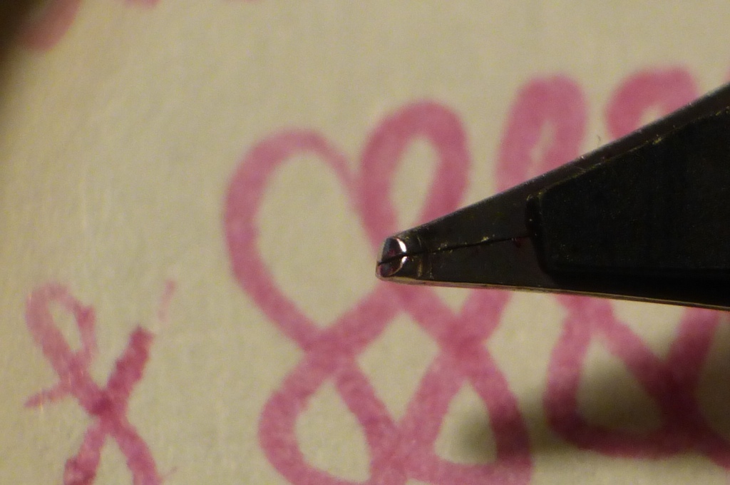 P1000478a.jpg