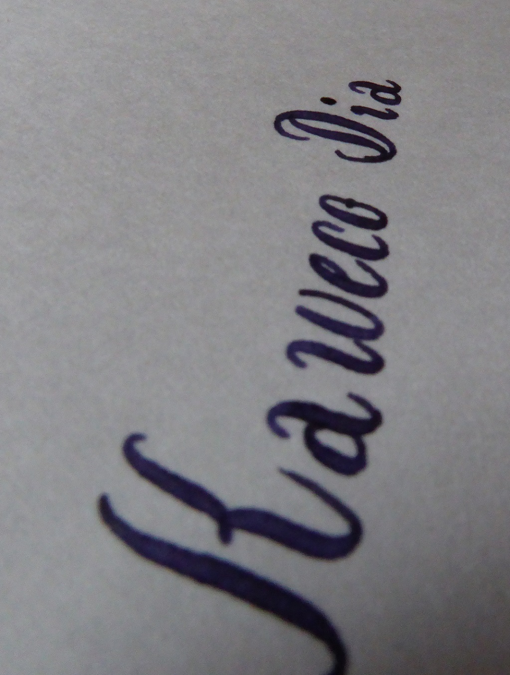 P1000731.JPG