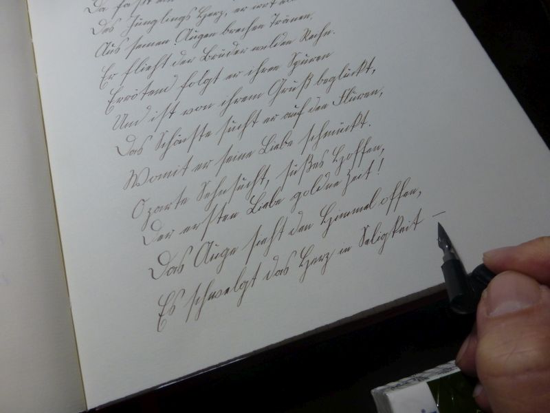 P1020146.jpg