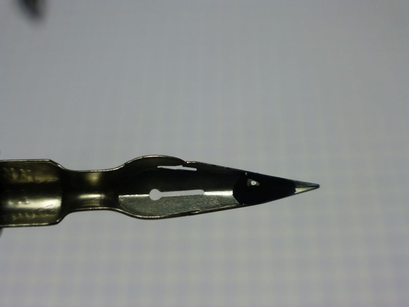 P1020188.jpg