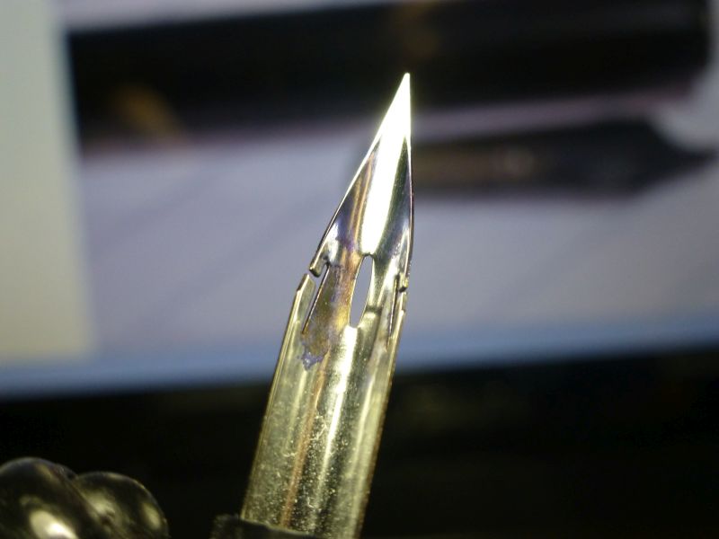 P1020191.jpg