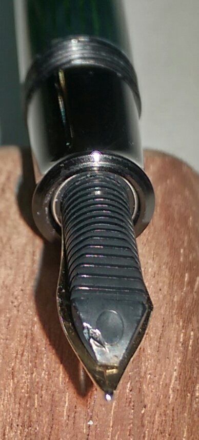 Pelikan Kerbe.JPG