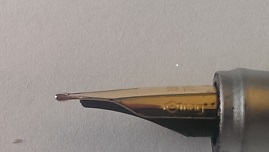 RR-Feder Seitenasicht links.jpg