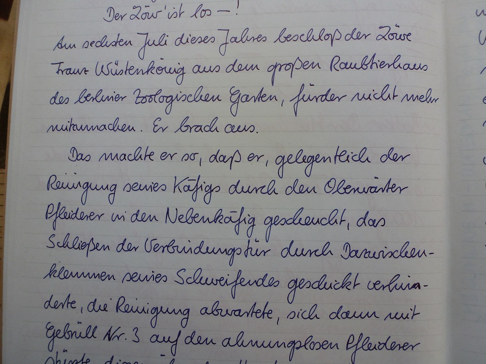P1050235.JPG