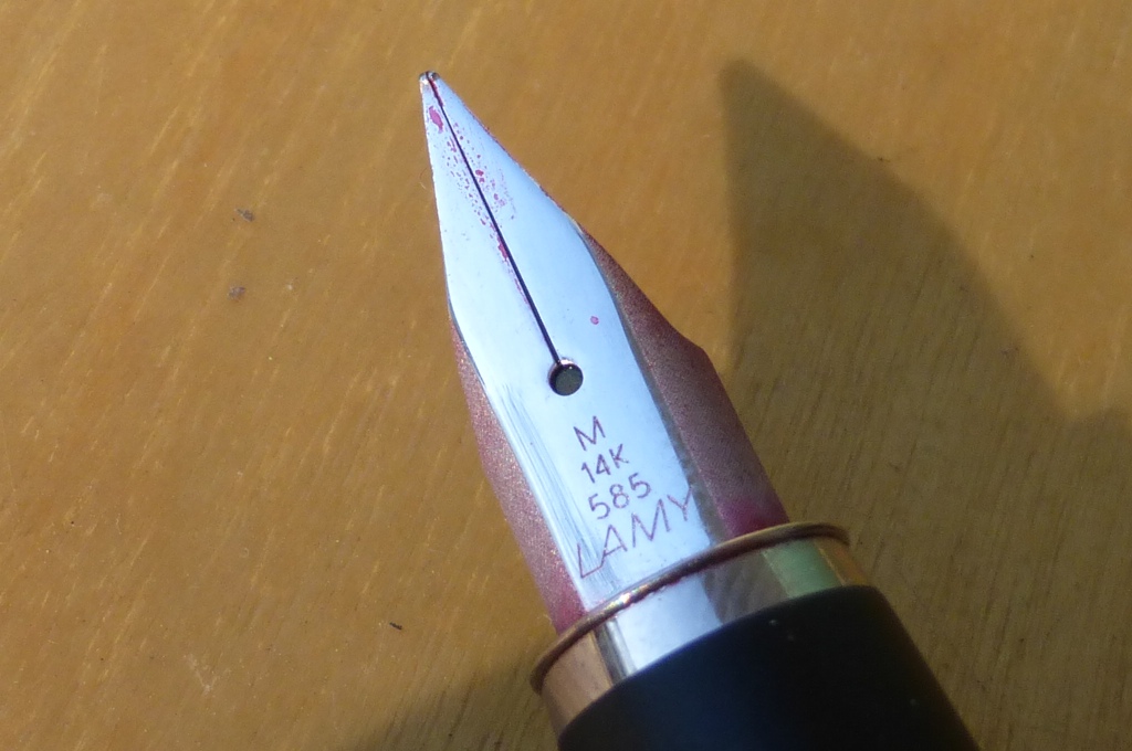 P1000510a.jpg