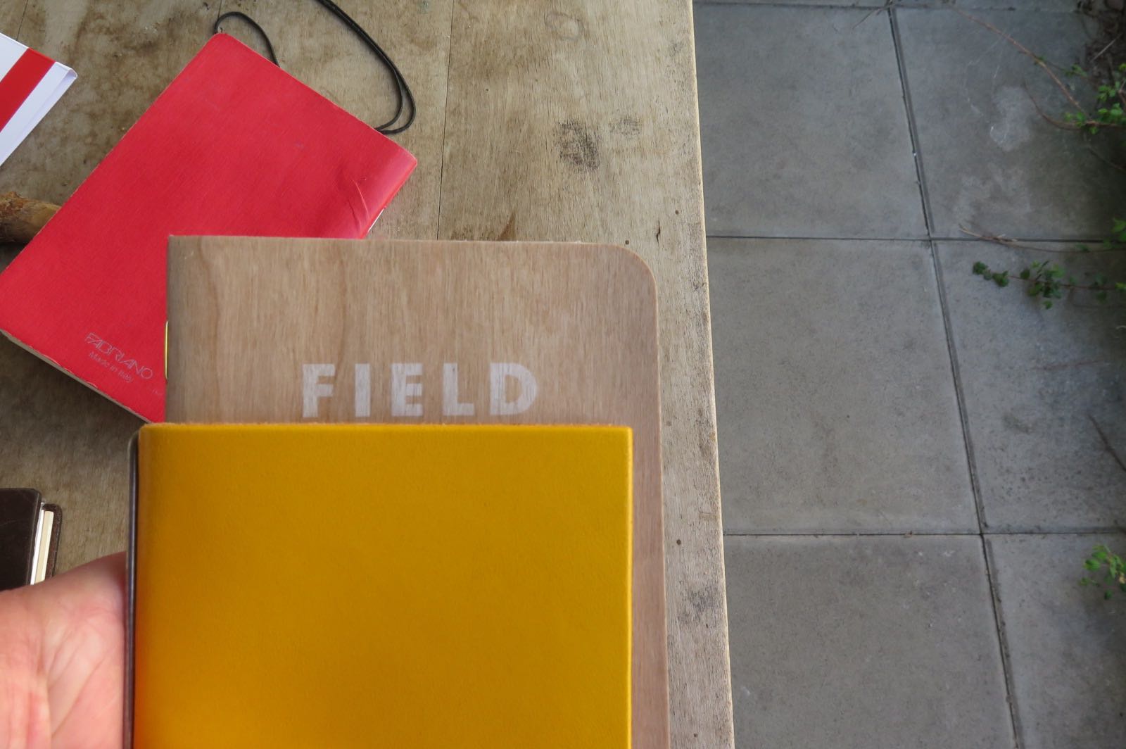 Fieldnotes