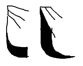 Obliques.jpg