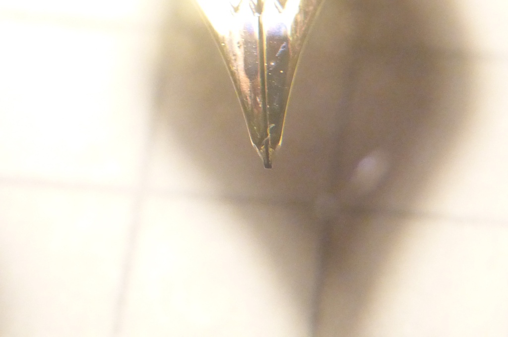 P1000526a.jpg