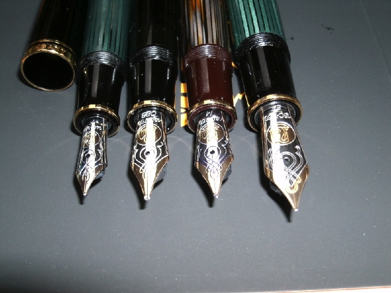 M800 Tortoise