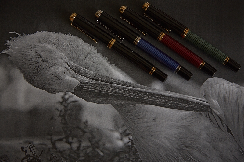 Pelikan2_0000_(800_x_600).jpg