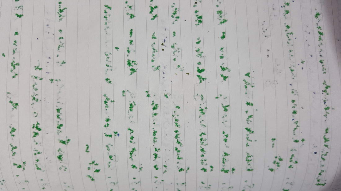 20150826_132413.jpg