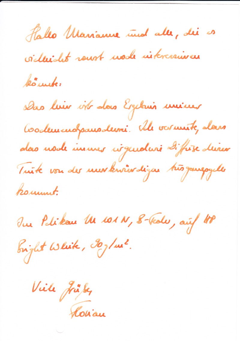 Orange Panscherei-kleiner.jpg