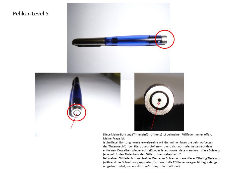 meinLevel5.jpg