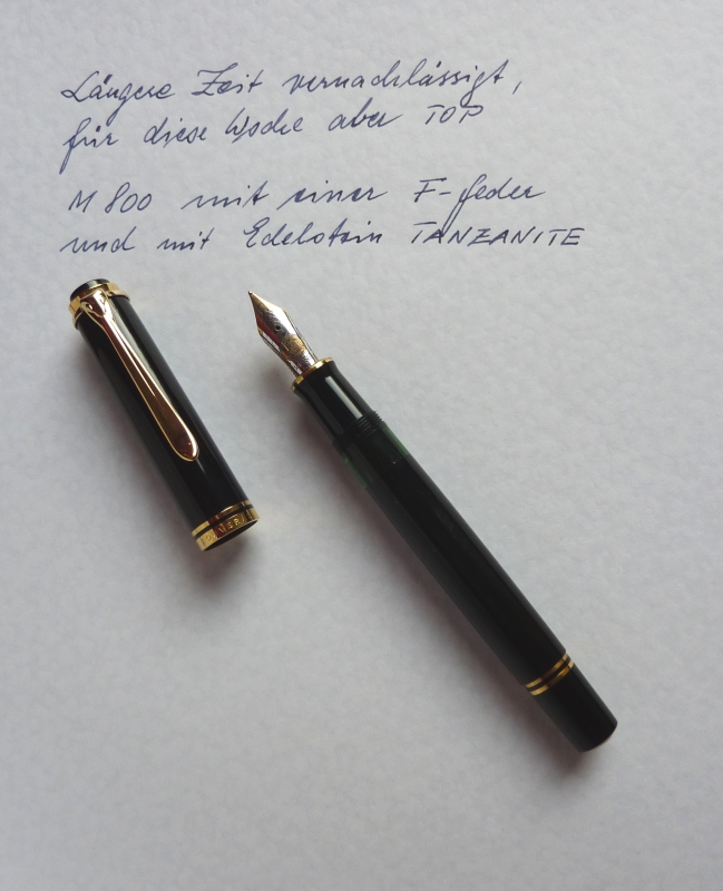 Arbeitspferd_800.jpg