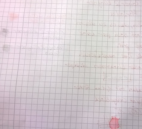 Rückseite