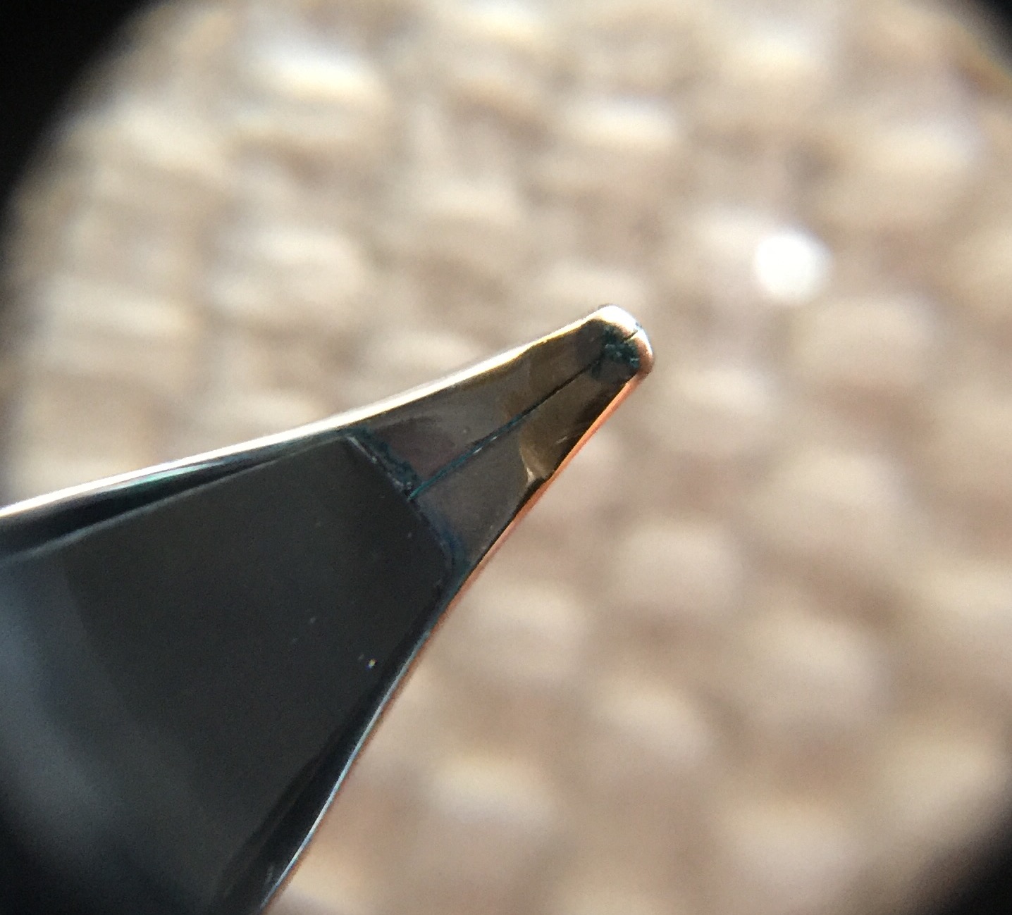 Photo 03-11-15 09 00 33.jpg