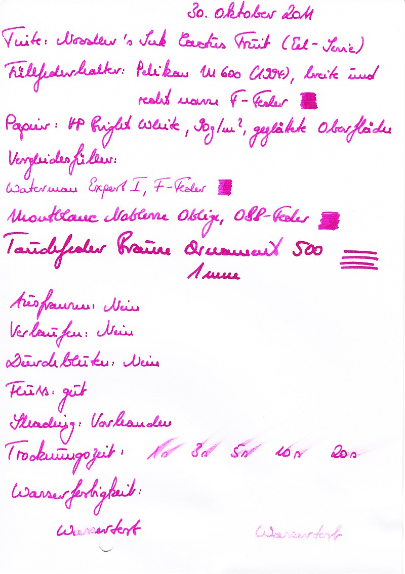 Noodlers Cactus Fruit Bright White-kleiner.jpg