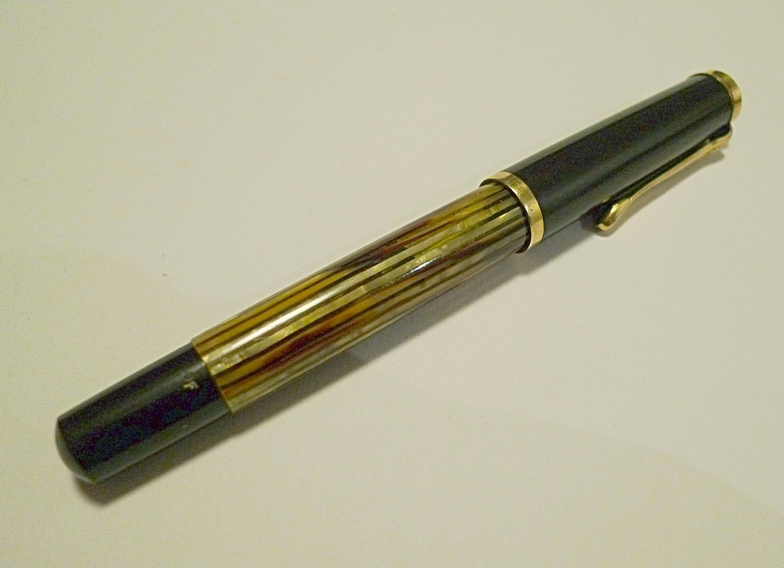 Pelikan M400 Schildplatt.1.JPG