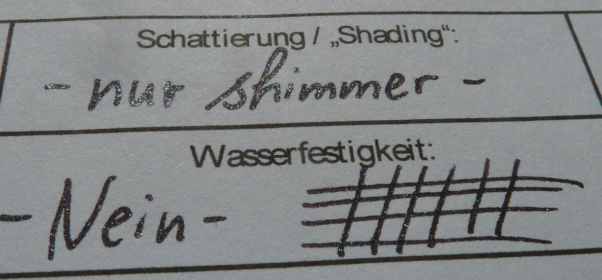 Foto2.JPG