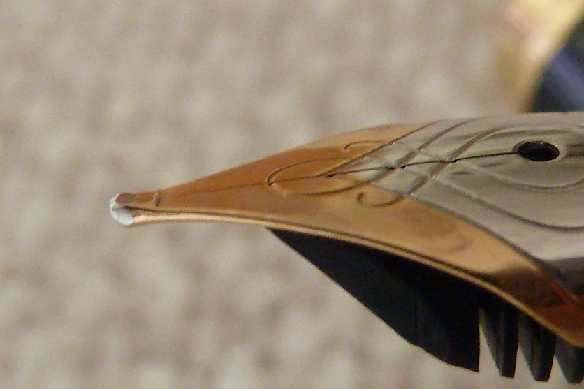 P1080102.JPG