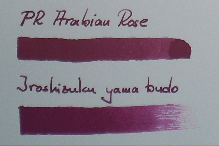 PRArabianRose.jpg