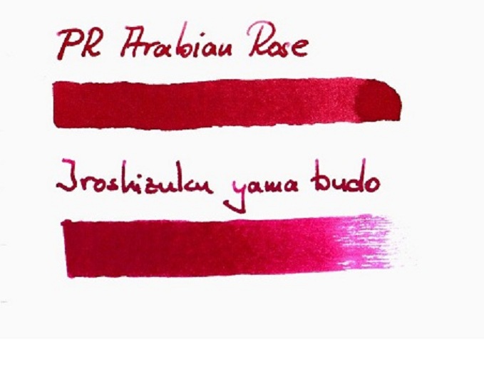 PRArabianRose-Scan.jpg