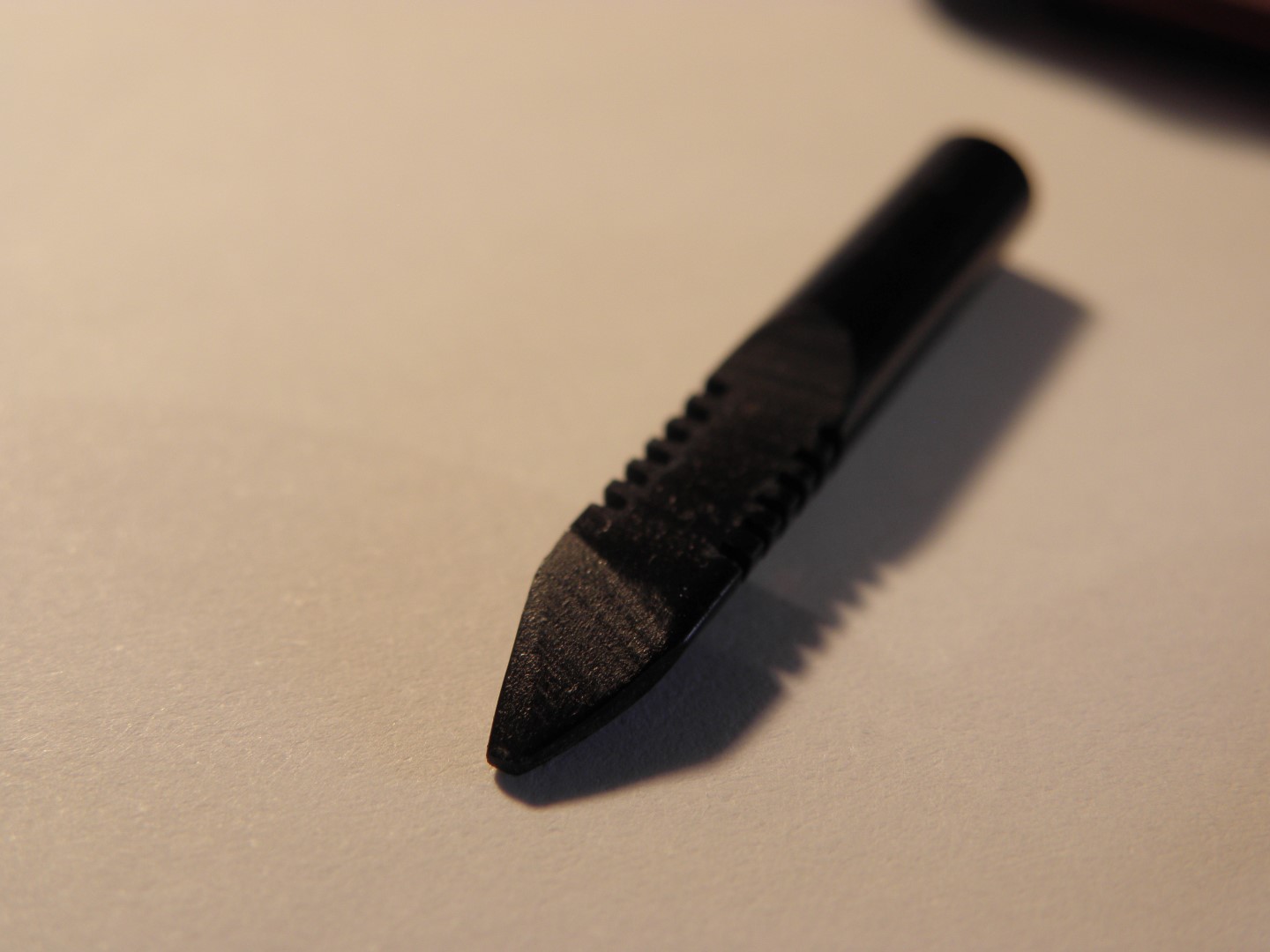 P5100707 (Large).JPG