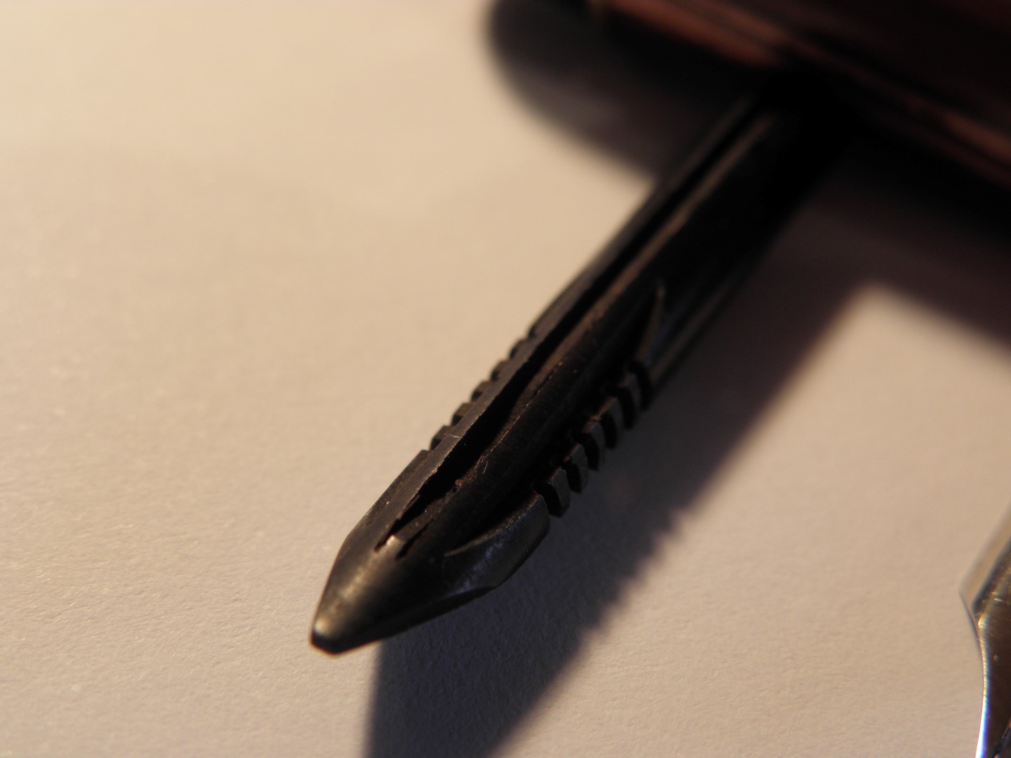 P5100706 (Large).JPG