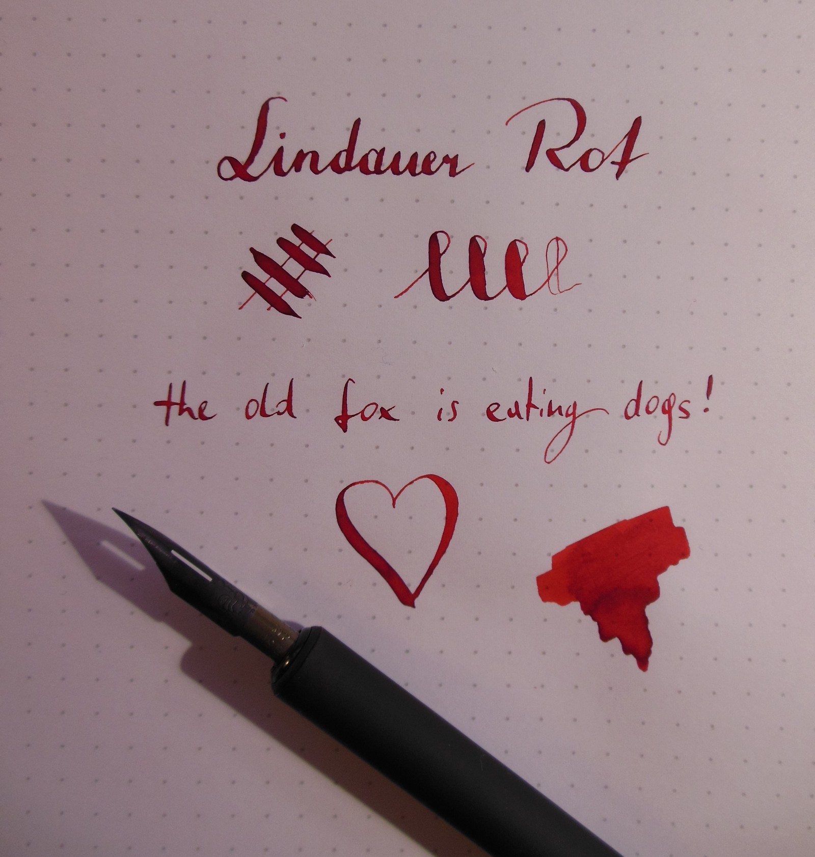 lindauer_1.jpg
