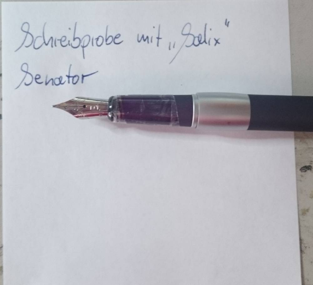 Salix.jpg