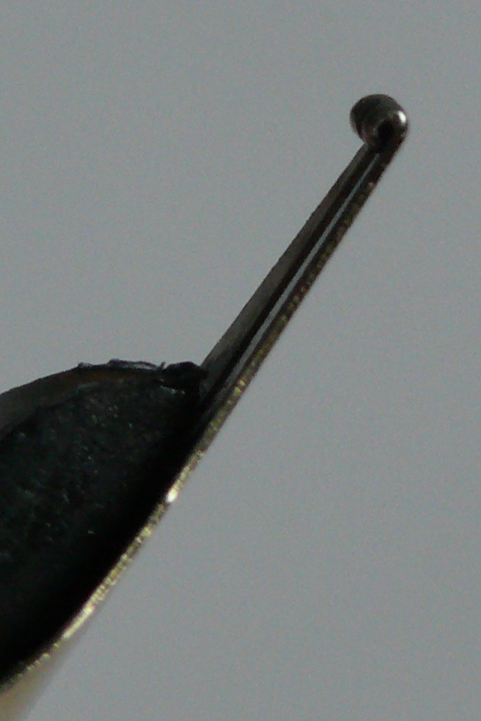 P1080050_A2.jpg