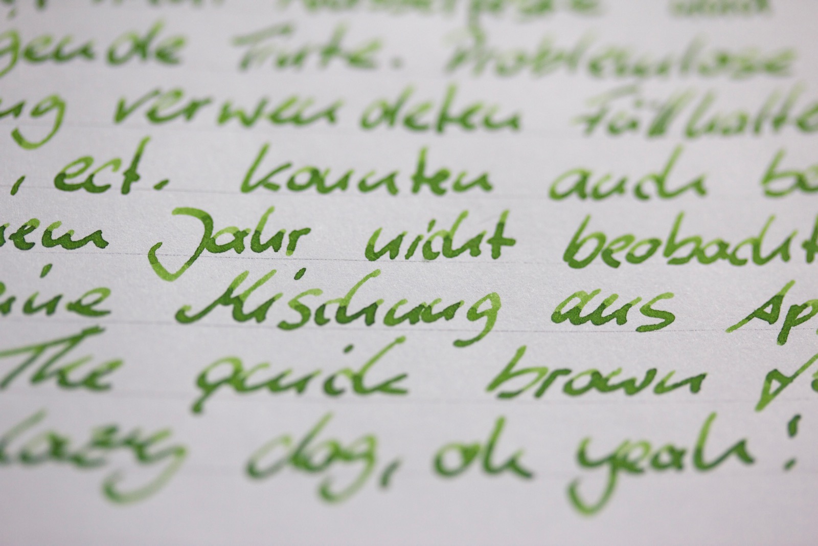 Pelikan M205 Italic auf Clairefontaine
