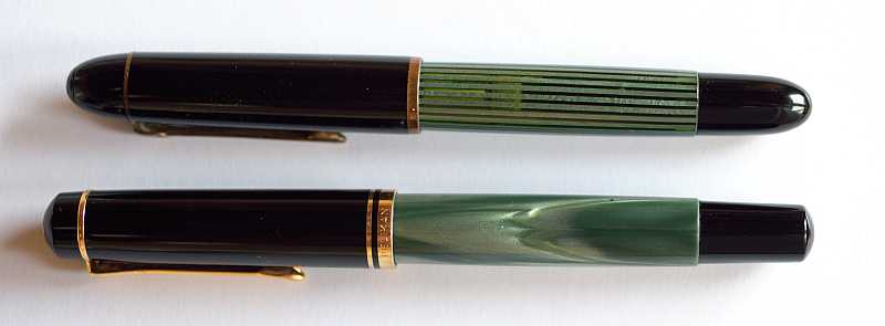 Pelikan beide geschlossen-5287-klein.jpg