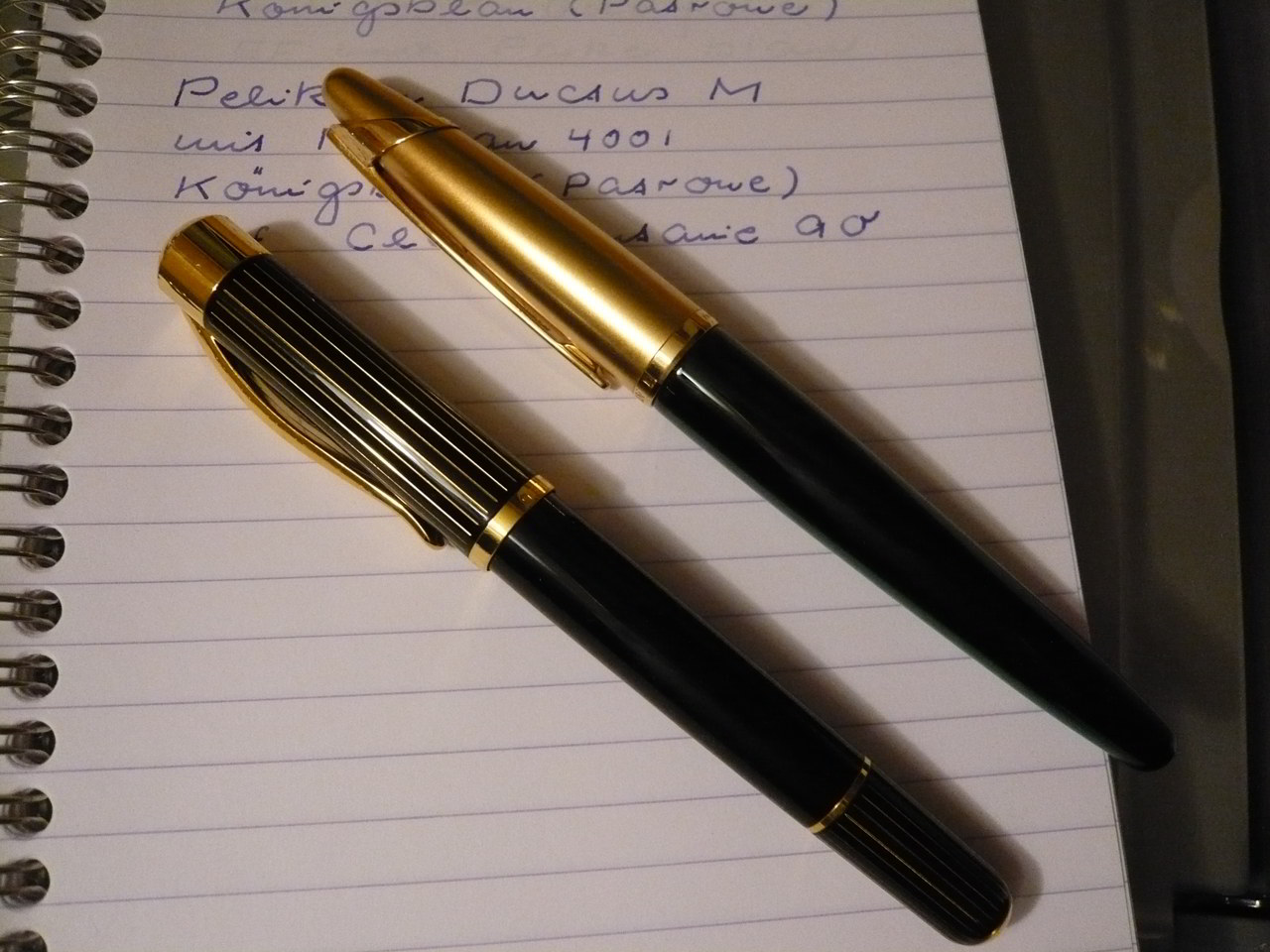 Pelikan_Ductus_W_Edson.jpg