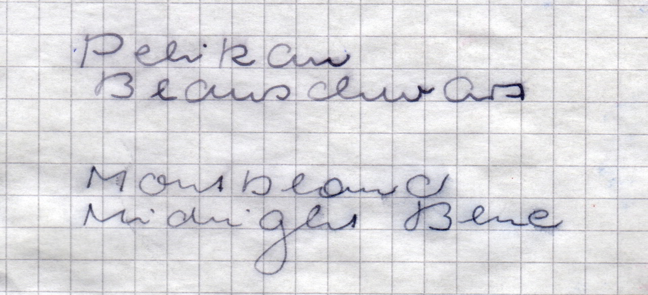 Pel_BS_Wasser1.jpg