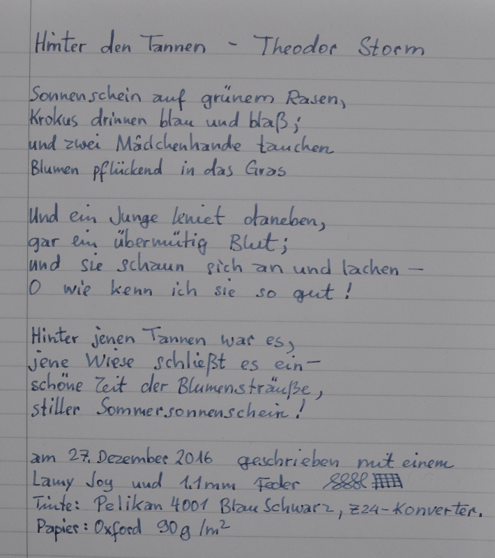 20161227_Hinter_den_Tannen_penexchange.JPG