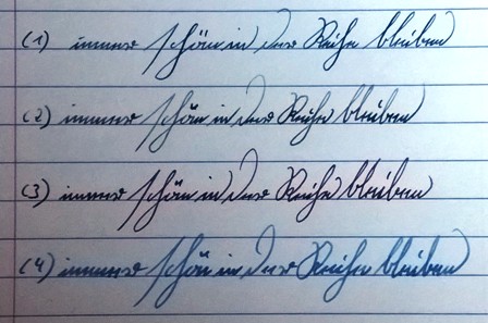 Pilot_Delta_TWSBI_Pelikan_klein.jpg