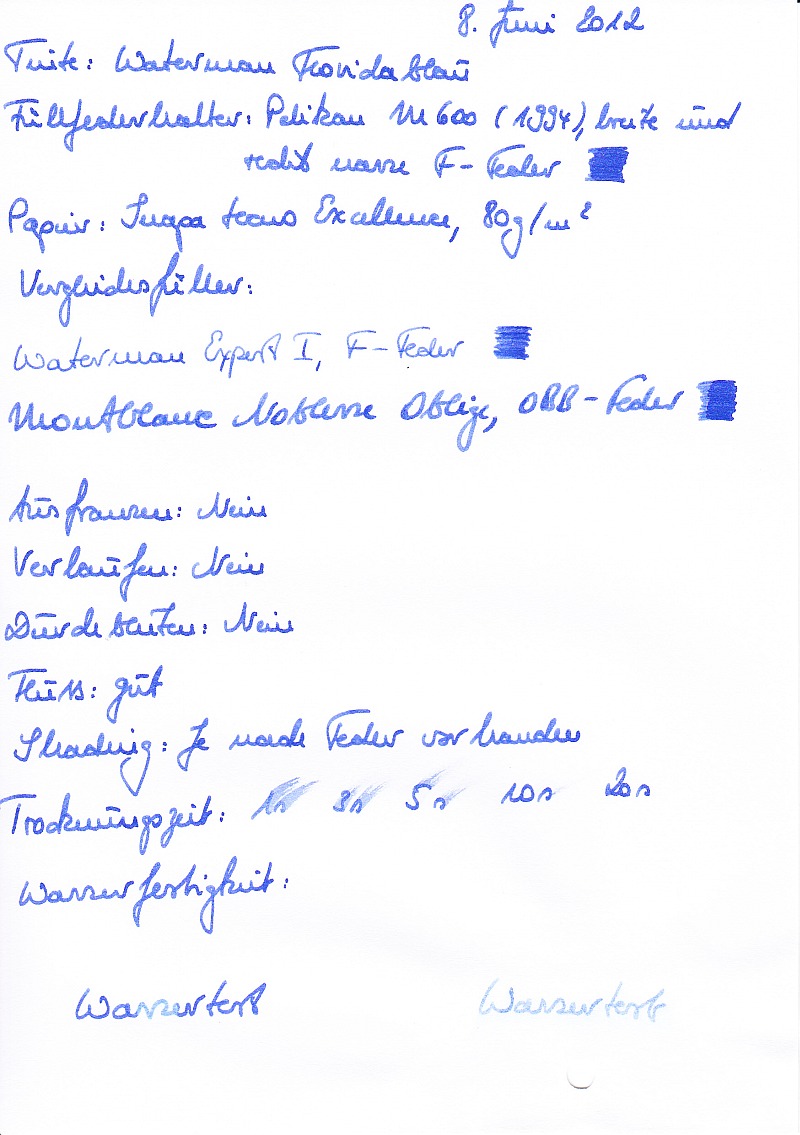 Waterman Floridablau Inapa Excellence-kleiner.jpg