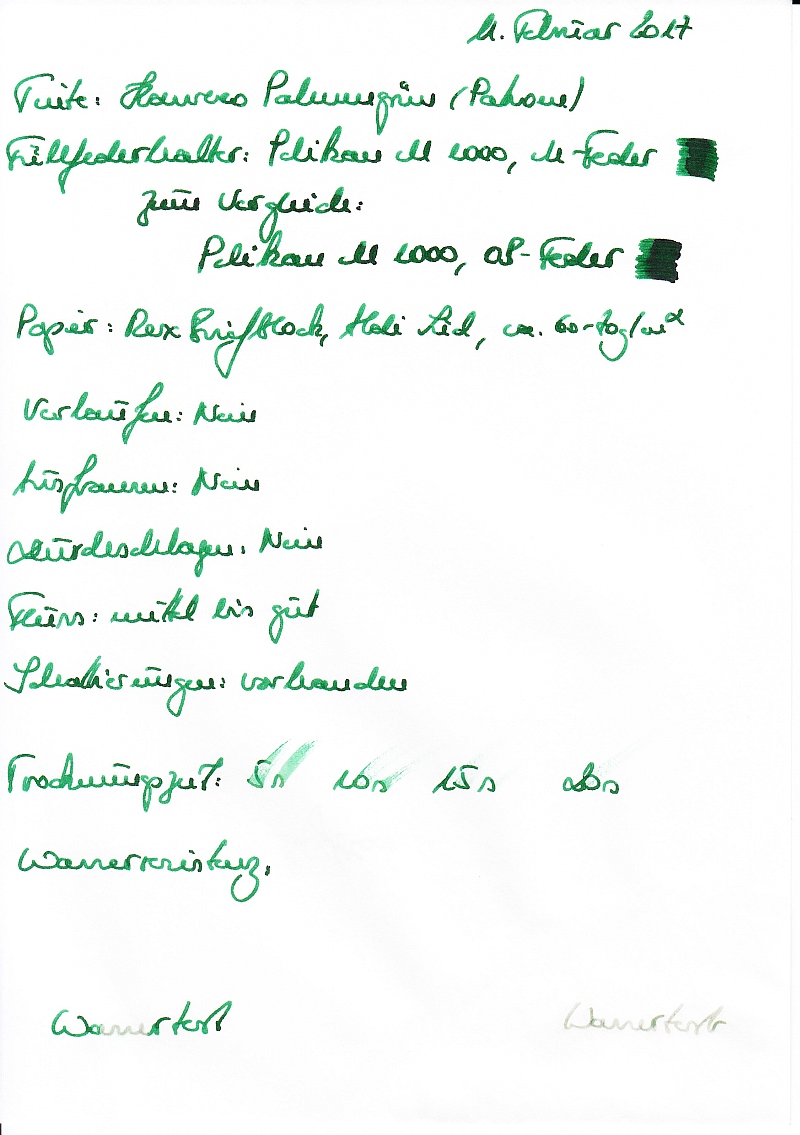 Kaweco Palmengrün_0003_kleiner.jpg