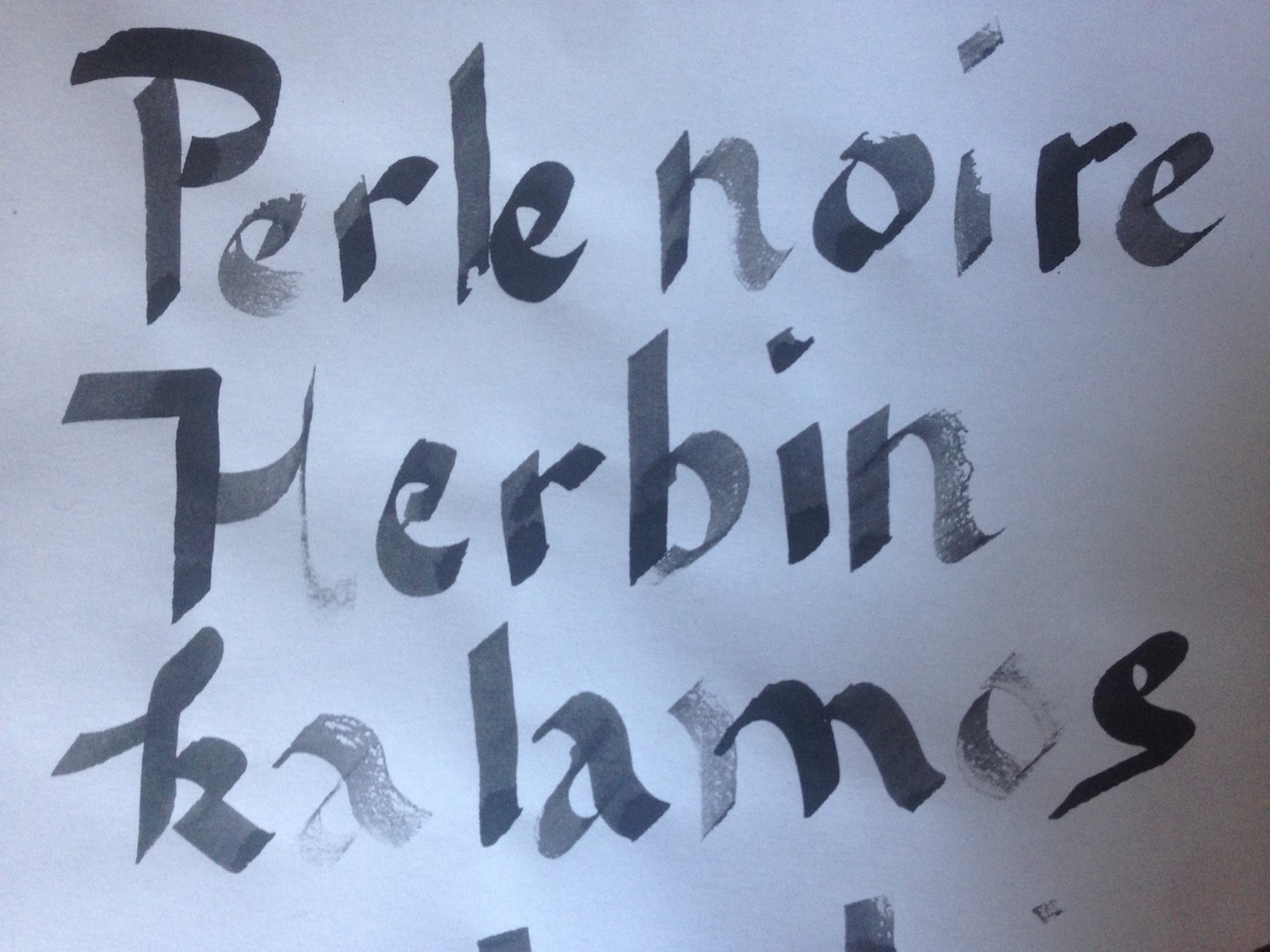 Herbin Perle noire (kalamos encouter)