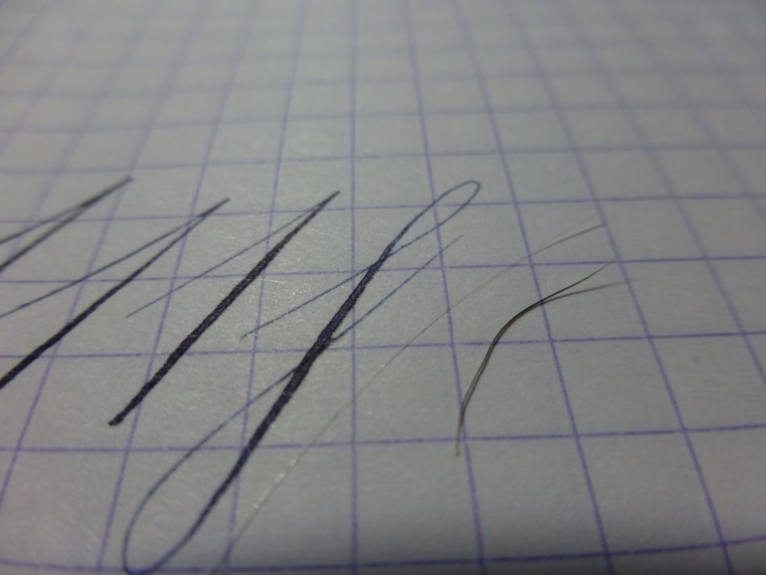 P1000692.jpg
