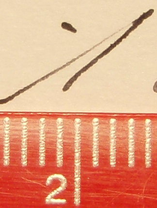 Haarlinie 2.jpg