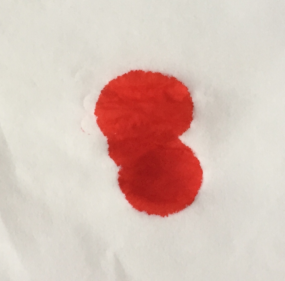 04287783-6047-484D-95C5-F8E890833110.jpeg