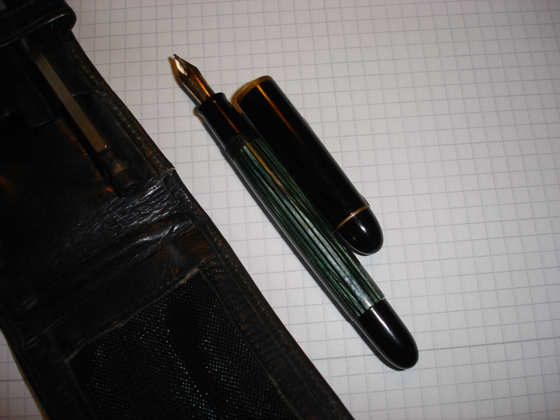 Pelikan 140 b.jpg